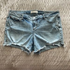 Slink Curvy Jean Shorts